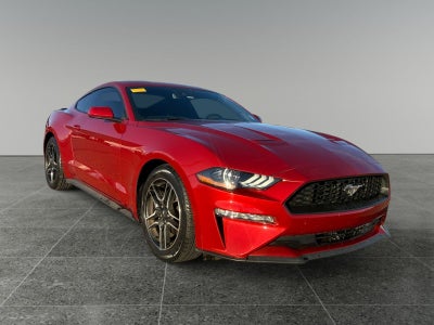 2021 Ford Mustang EcoBoost